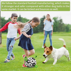 Soccer Ball with Grab